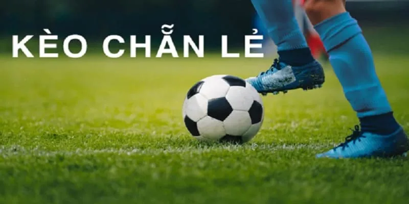 Cách thực hiện kèo chẵn lẻ hiệu quả