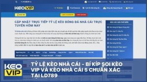 Tỷ Lệ Kèo Nhà Cái - Bí Kíp Soi Kèo Vip Và Kèo Nhà Cái 5 Chuẩn Xác Tại LD789