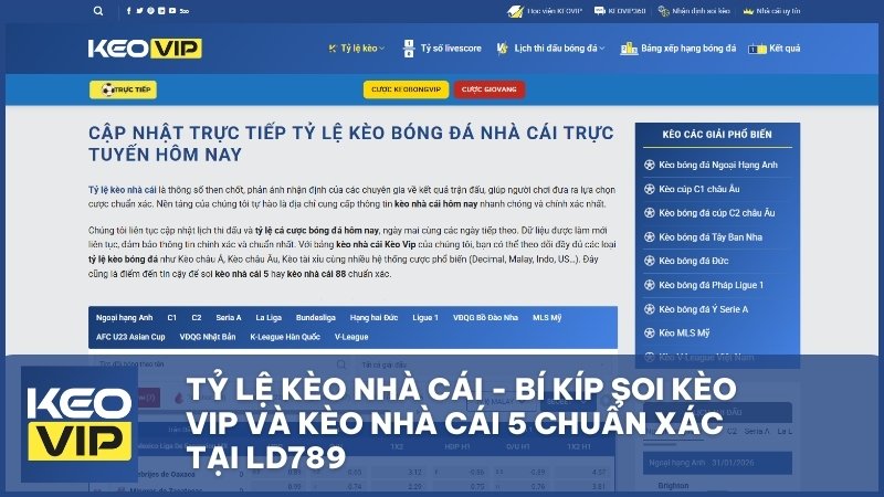Tỷ Lệ Kèo Nhà Cái - Bí Kíp Soi Kèo Vip Và Kèo Nhà Cái 5 Chuẩn Xác Tại LD789