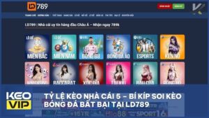 Tỷ Lệ Kèo Nhà Cái 5 – Bí Kíp Soi Kèo Bóng Đá Bất Bại Tại LD789